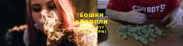 трава Беломорск